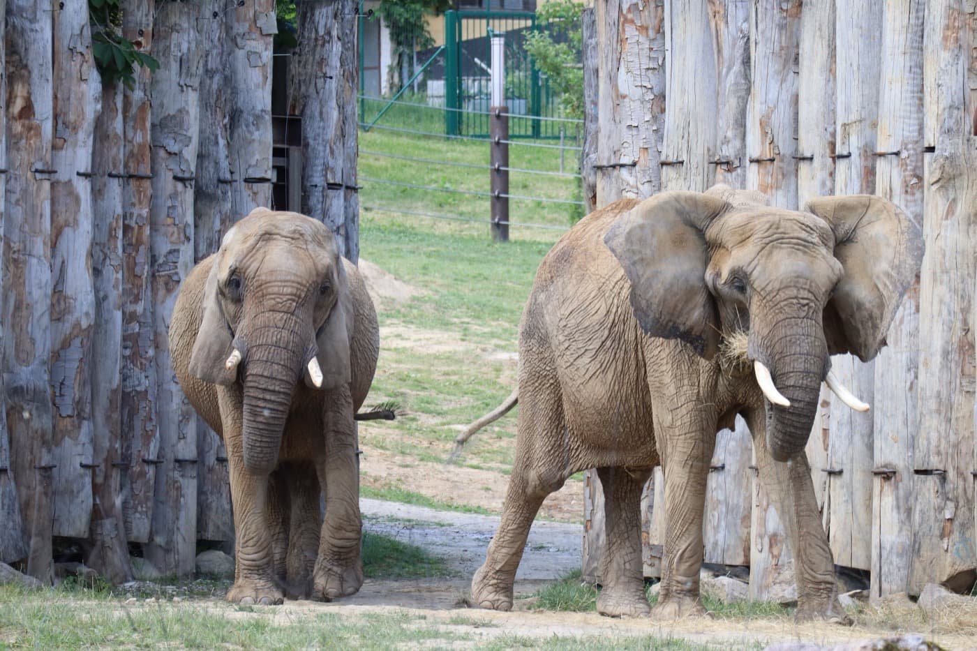 Národná ZOO Bojnice